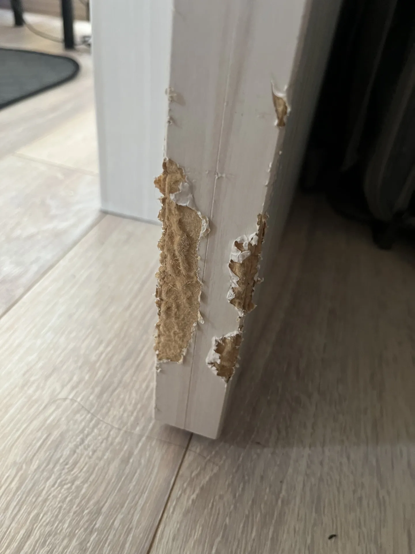 ドアの補修を東京都品川区で行いました。