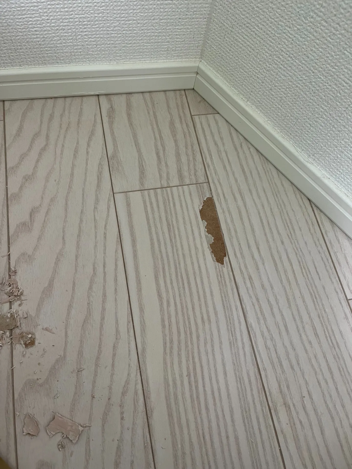 【さいたま市大宮区】フローリング剥がれ・傷をリペア補修｜両面テープ跡も綺麗に原状回復