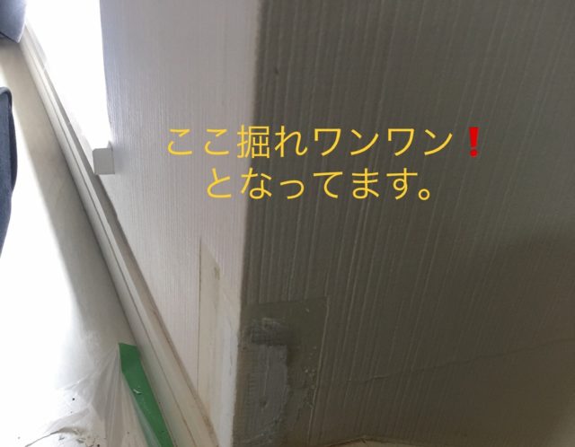 巾木補修と壁紙の破れ、ドアの傷（東京都中野区）