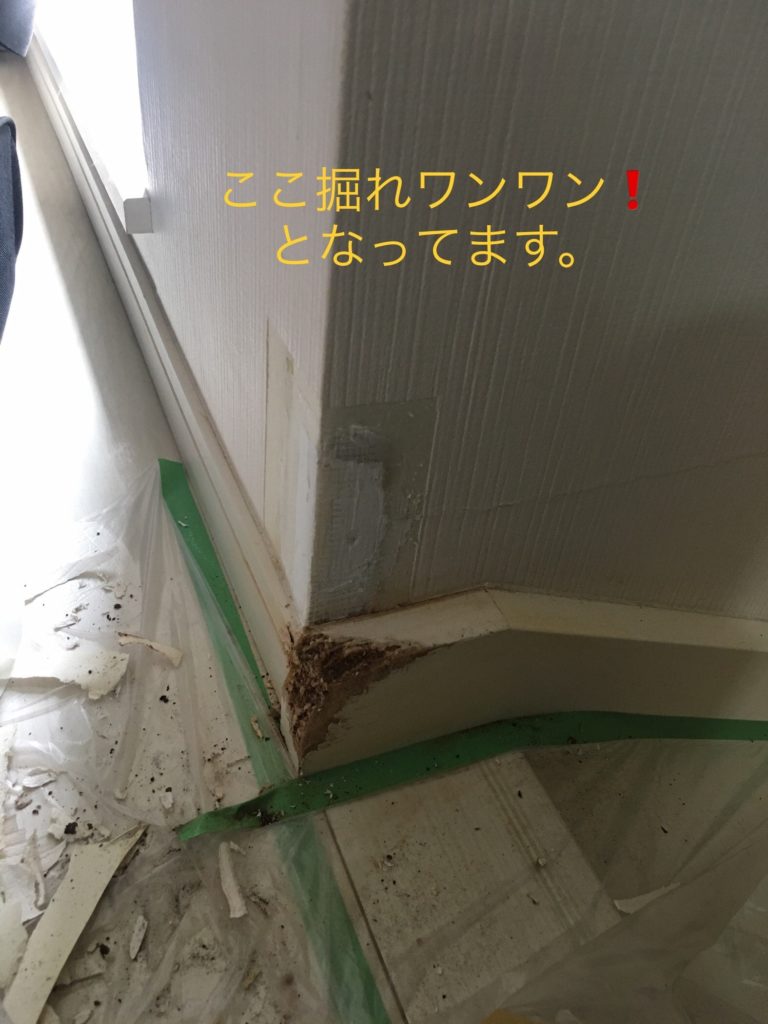 巾木補修と壁紙の破れ ドアの傷 東京都中野区 トータルリペア グランツ